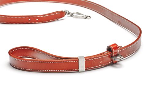 hermes dog lead|hermes dachshund scarf.